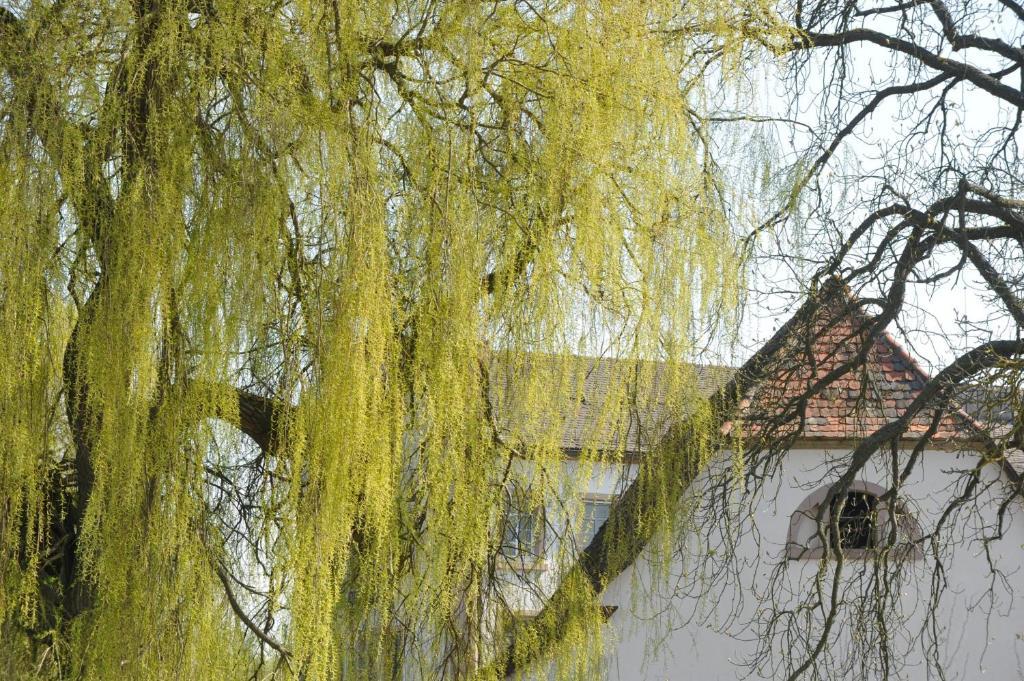 Zeiskamer Muehle Buitenkant foto
